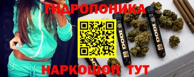 хмурый Кингисепп