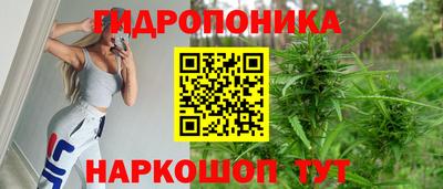 прущая мука Кандалакша