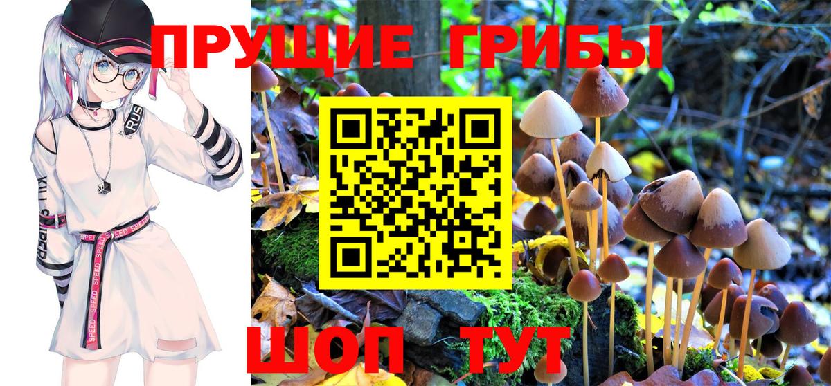 Псилоцибиновые грибы GOLDEN TEACHER Комсомольск-на-Амуре